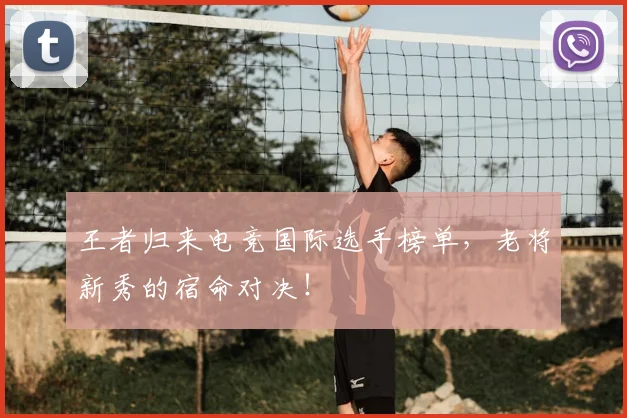 王者归来电竞国际选手榜单，老将新秀的宿命对决！