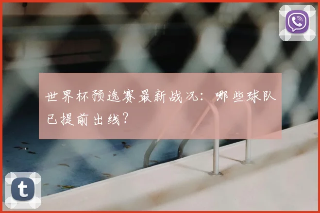 世界杯预选赛最新战况:哪些球队已提前出线?
