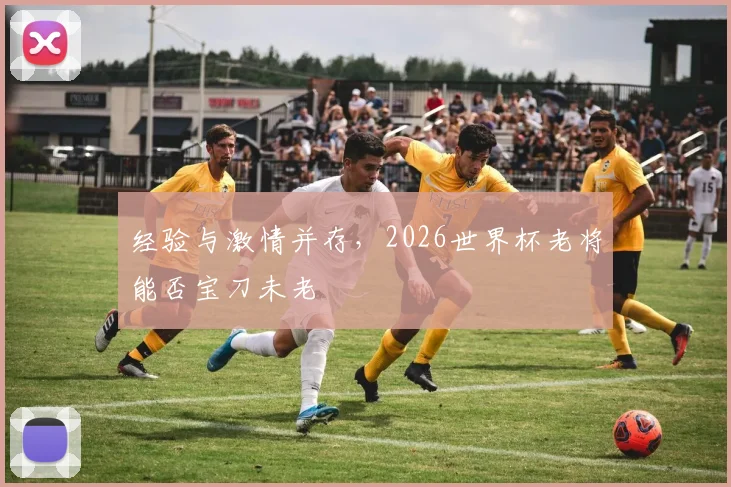 经验与激情并存,2026世界杯老将能否宝刀未老