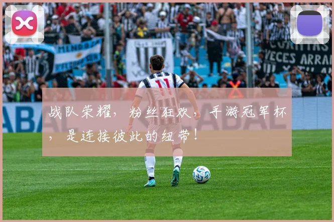 战队荣耀,粉丝狂欢,手游冠军杯,是连接彼此的纽带!