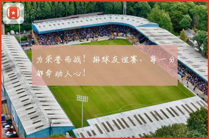 为荣誉而战!排球友谊赛,每一分都牵动人心!