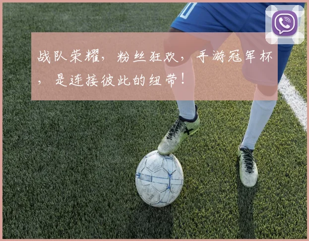 战队荣耀，粉丝狂欢，手游冠军杯，是连接彼此的纽带！